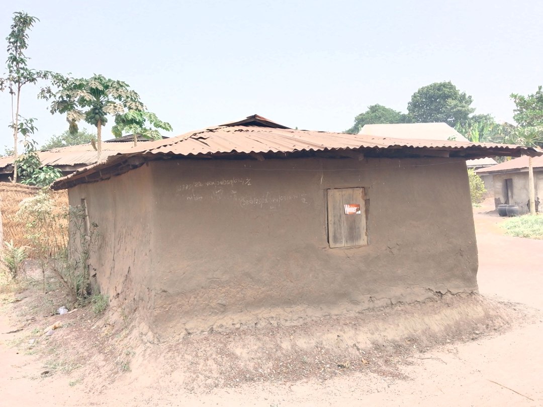 Clay walls and a metal roof — ordinary Igbo architecture, still standing.